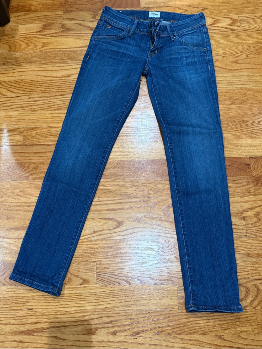 Hudson Jeans Indigo Skinny Stretch Denim